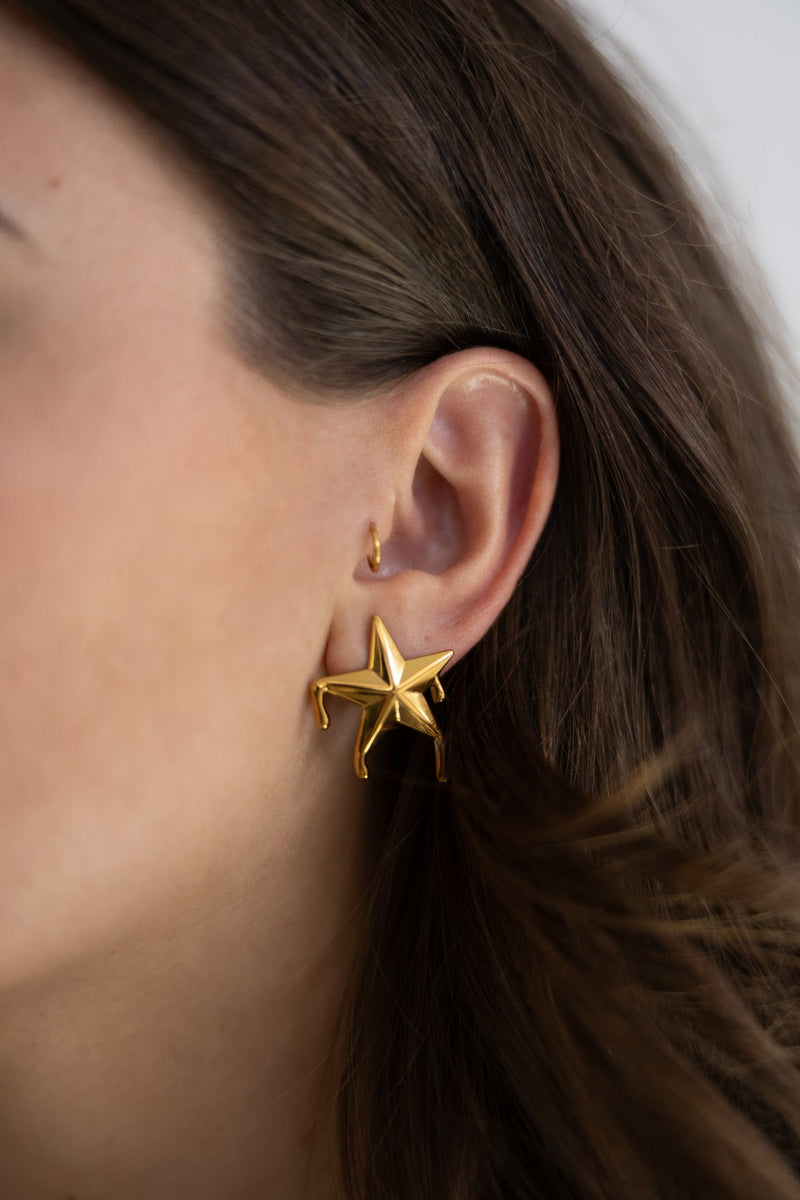 Golden Star Earrings